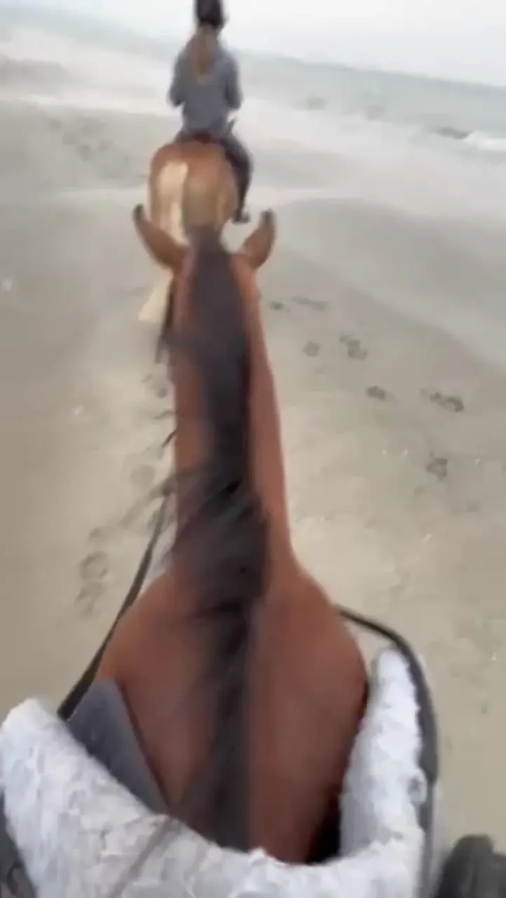 A praia a cavalo