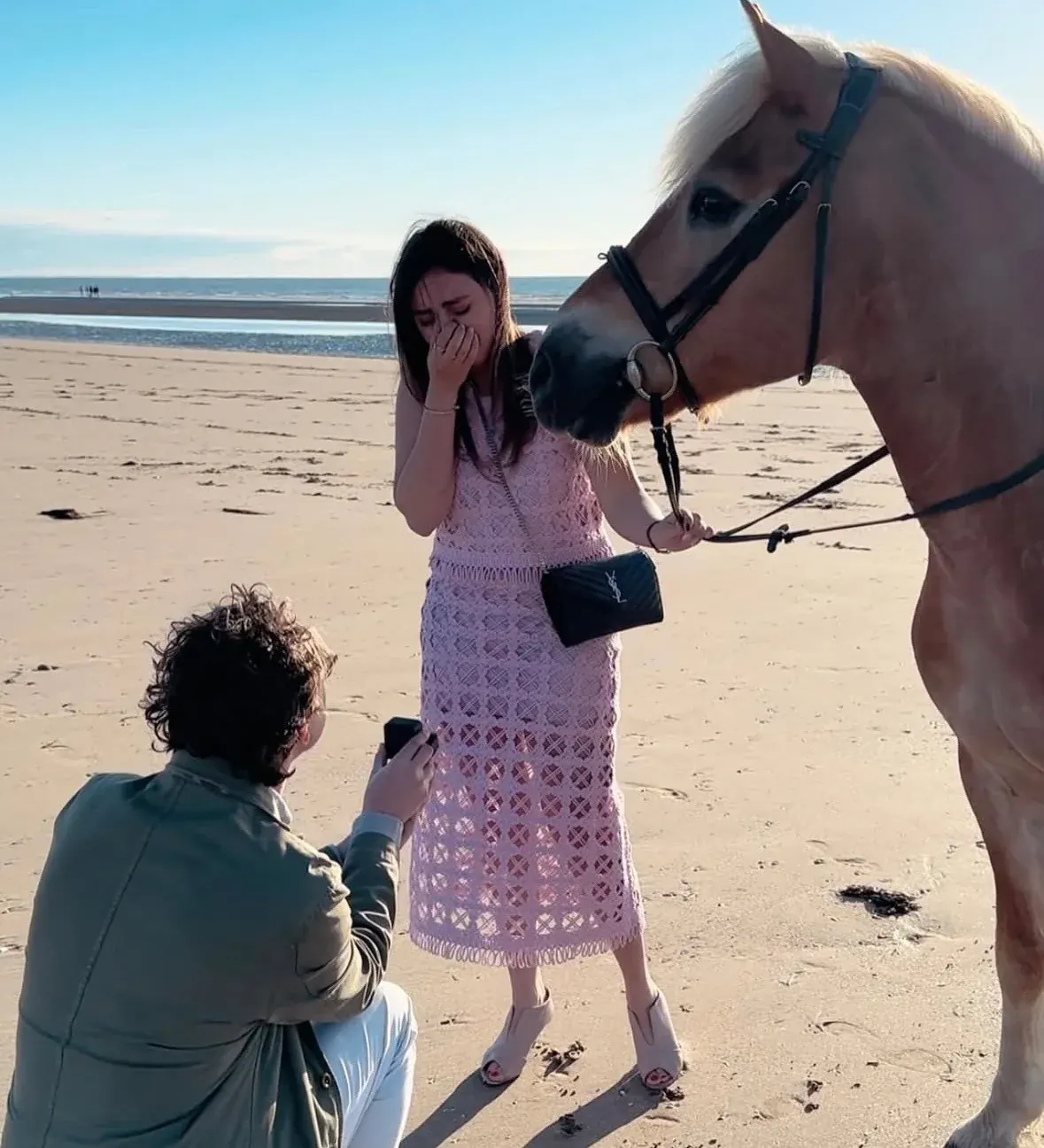 Una proposta di matrimonio sulla spiaggia accanto a un cavallo